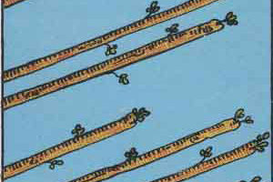 ワンドの8の逆位置